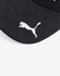 Aston Martin Official Cap 2026 - Black